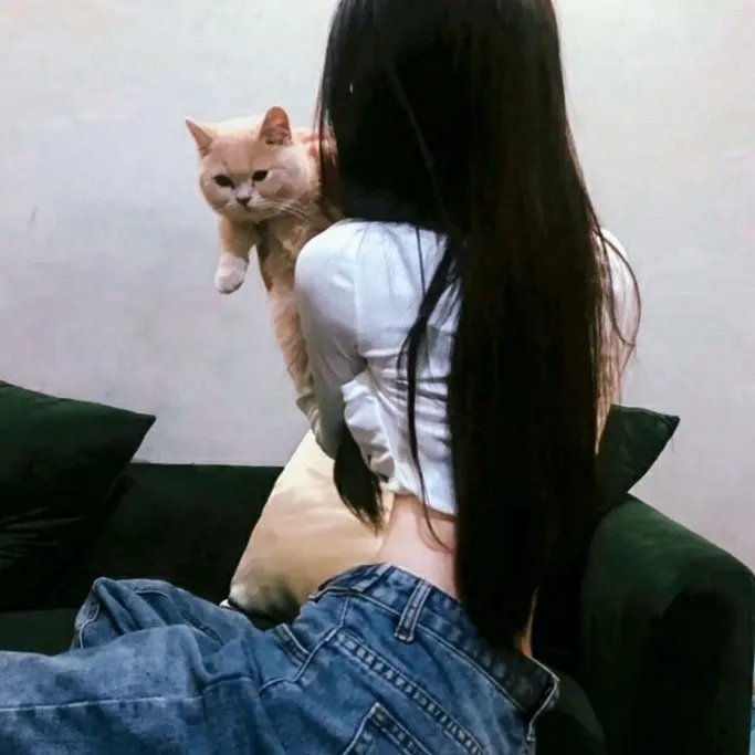 毁灭的种子